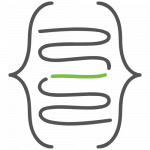 Fast Dataload Developer